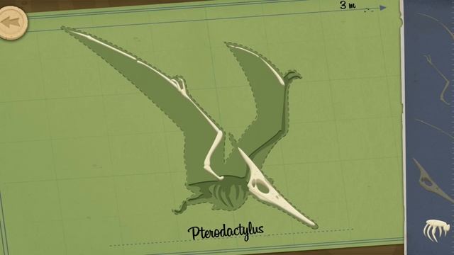 Dinosaurs for kids : Archaeologist - Jurassic Life - Baby Games Videos смотреть онлайн