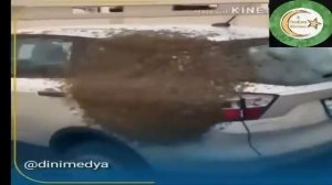 чудеса Аллаха которые поразят вас  معجزات خدا  معجزات الله