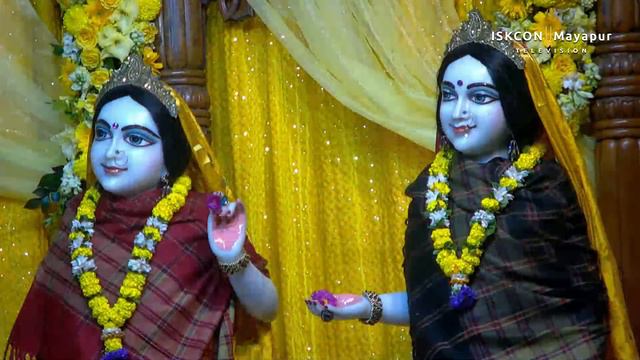 Mangal Arati Sri Dham Mayapur - February 14, 2024 смотреть онлайн