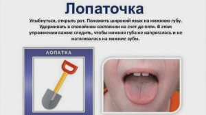 Артикуляционное упражнение Лопатка. Лопатка логопедическое упражнение для языка. Детский логопед