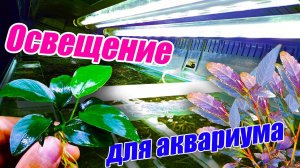 Освещение для аквариума! Привезли мощный светильник для аквариума травника!