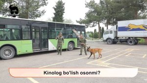 KINOLOG KIM? \ КИНОЛОГ \ КАК СТАТЬ КИНОЛОГОМ