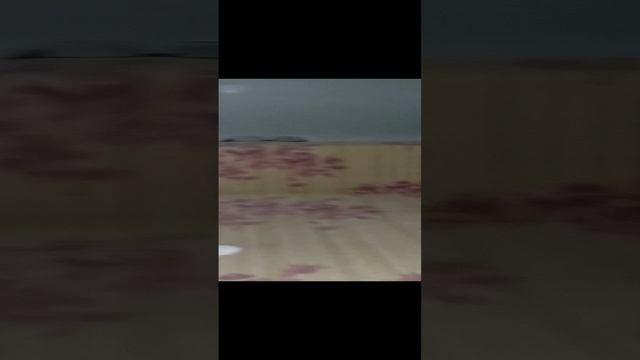привел домой необычного гостя