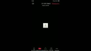 Настройка звука в Zoom на телефоне