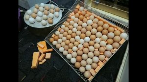 инкубатор своими руками на 500 куриных яйцемест, контроллер хм-18