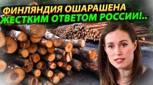Россия сделала это! Жесткий ответ России на поставку леса Финляндии