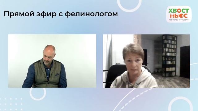 Стрим о тонкостях кошачьей психологии смотреть онлайн