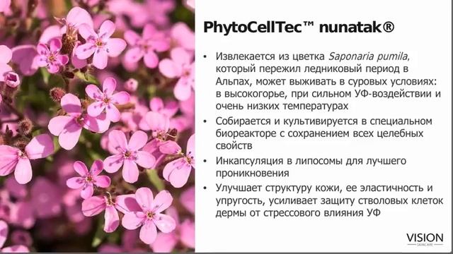 Представляем Новую Французскую Косметику смотреть онлайн