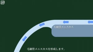 【物理】コップからコップに移すとき どうしてこぼれるの？