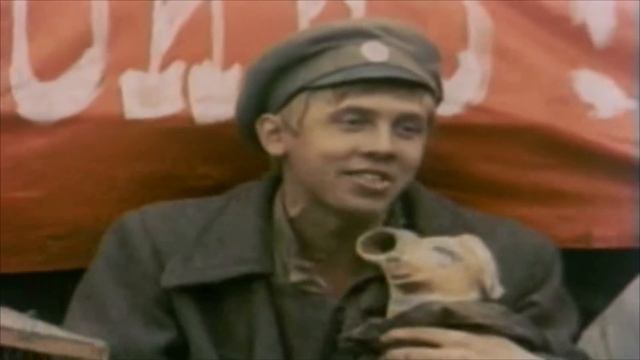 Bumbarash смотреть онлайн