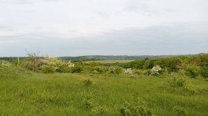 Вынос границ участка 1065