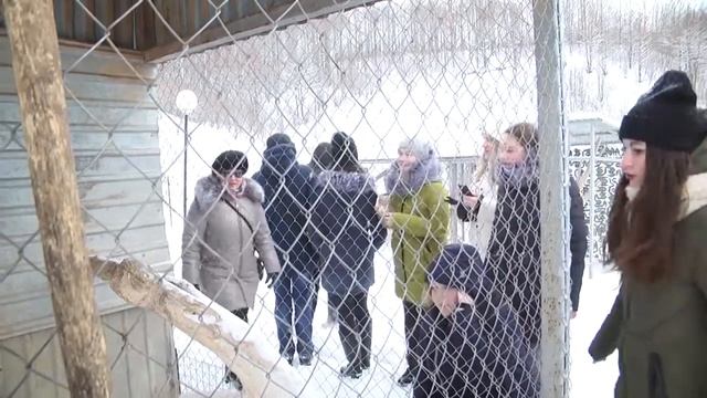 Парк Сафари Пешеланского гипсового завода смотреть онлайн