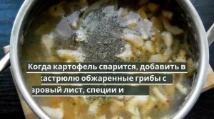 Суп из вешенок с картошкой.Рецепты супов.