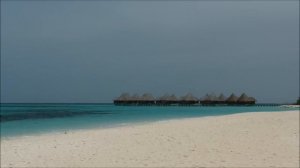 Coco Palm Dhuni Kolhu, Maldives Full HD.