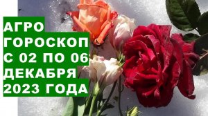 Агрогороскоп с 02 по 06 декабря 2023 года.Agrohoroscope from December 02 to December 06, 2023