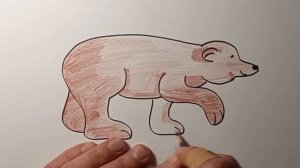 Как нарисовать бурого медведя