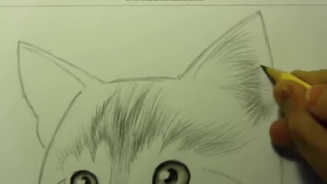 как научится рисовать кошку смотреть онлайн