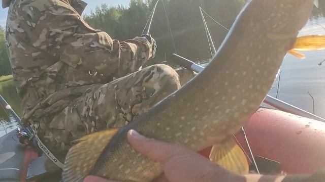 Рыбалка по старым местам продолжение смотреть онлайн