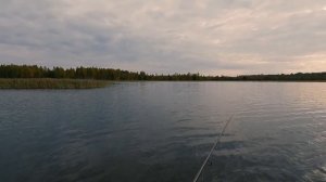 Круто половил окуня на поверхностные приманки. Рыбалка на спиннинг осенью