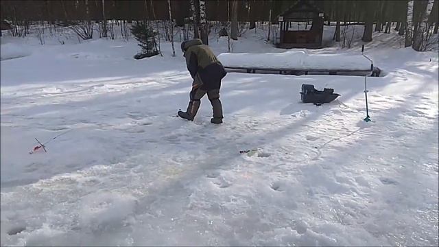 Форель клюёт на раттлины и блёсны, на пасту и резину. Клёвое место, Лосиный остров, верхний водоём.