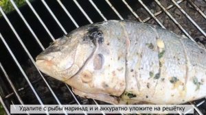 ДОРАДО НА УГЛЯХ С ЛЕТНИМ ЗЕЛЁНЫМ СОУСОМ