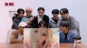 stray kids reaction to rose on the ground mv + dance practice