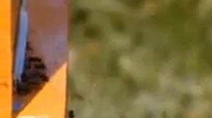 Пчеловодство в Башкирии