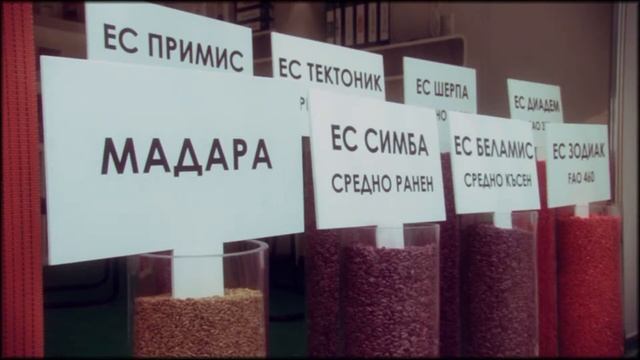 ПЕСТИЦИД БАТА 2013