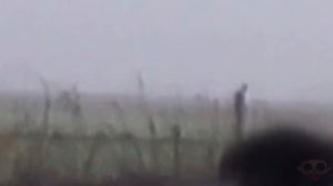 Слендермен снятый на камеру!