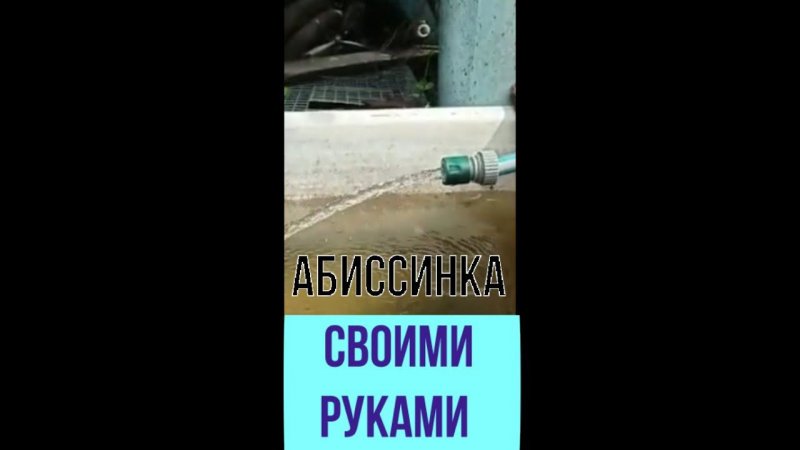 Абиссинская скважина своими руками в Великом Новгороде!