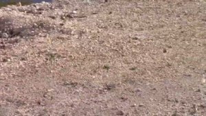 Достопримечательности  Н  Кисляя !!