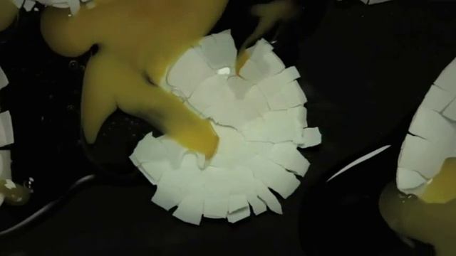 Стефан Загмайстер: 7 правил для большего счастья смотреть онлайн