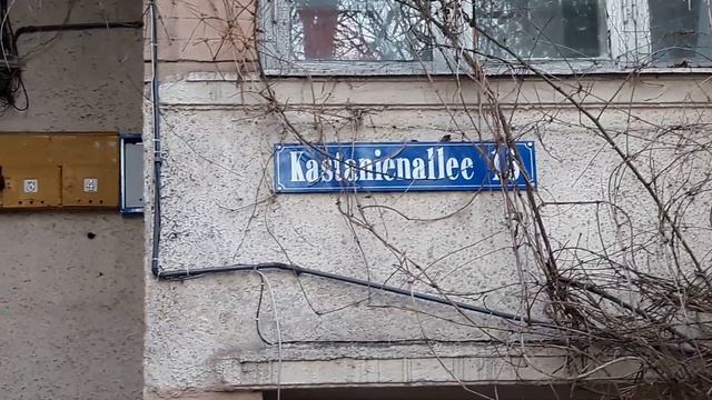 Самая красивая калитка Амалиенау и старинные виллы !