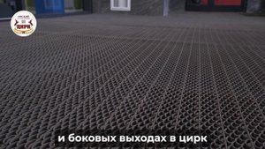 Ролик доступная среда Омский цирк