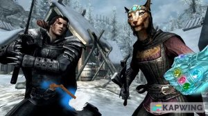 The Elder Scrolls V. Skyrim Vs. Diablo 2 Resurrected (compare and contrast)