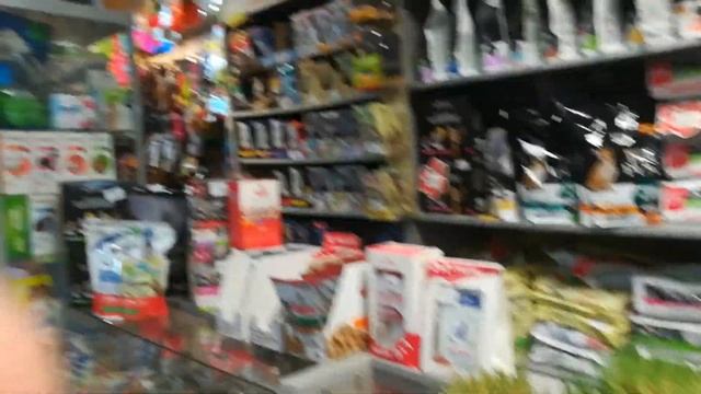 СПАСАЕМ ЩЕНКА И ОТДАЕМ В ХОРОШИЕ РУКИ! смотреть онлайн