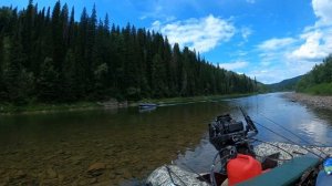 Рыбалка на ХАРИУСА!!! Ловля хариуса на БОМБАРДУ!!! "Клюют СИНИИ" 2 День