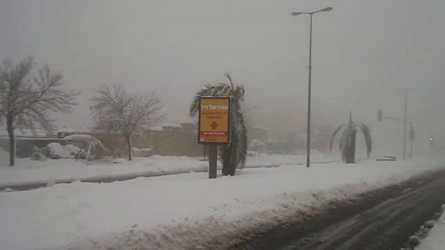 Сибирский снег на иерусалимских пальмах смотреть онлайн