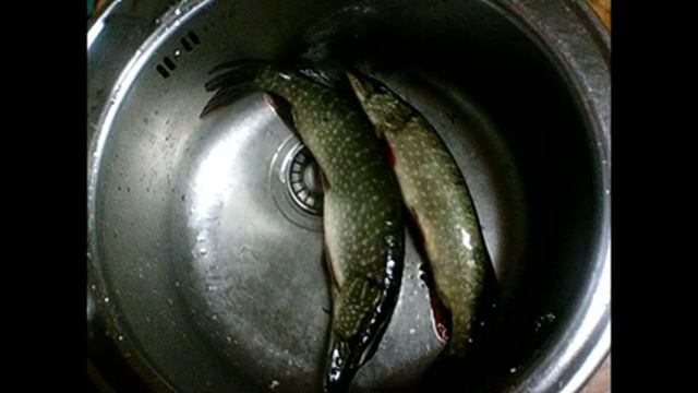 На Камеру нет Без камеры да смотреть онлайн