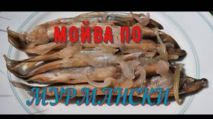 Мойва по Мурмански