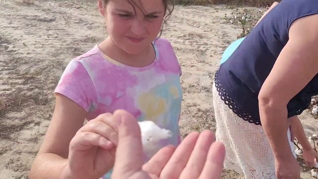 Увидели как растёт катон, хлопок смотреть онлайн