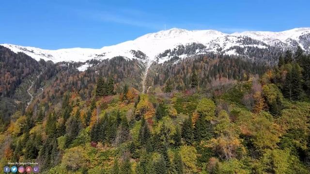 Музыка лечит сердце и сосуды! Спокойная Музыка Для Снятия Стресса! Волшебная музыка зимы #Музыка смотреть онлайн