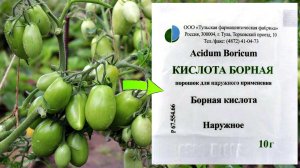 Дайте томатам борную кислоту в августе! Результат мгновенный!Улучшается внешний вид и урожайность!