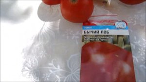 Крупноплодные и урожайные томаты с прекрасным вкусом!