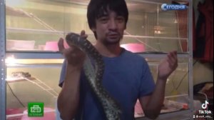 Арслан Валеев о том, насколько опасно содержание экзотических животных в квартире непрофессионалами