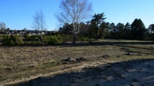 Соликамск - Чепец