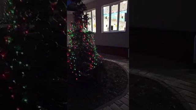 Новый год на базе отдыха Дельта Дона!