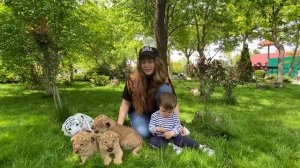 Рассказ о львице Лоле и ее появлении в Тайгане !