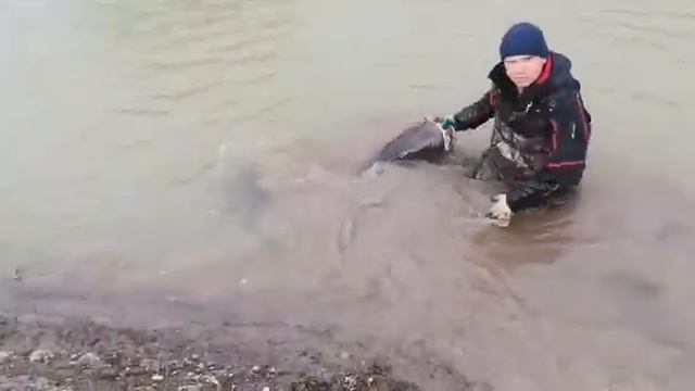 Озера - Адыгеи смотреть онлайн