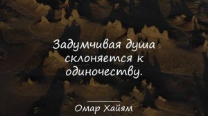 Гениальные Цитаты Восточных Мудрецов - Омара Хайяма, Джалаладдина Руми, Авиценны.